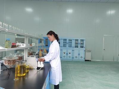 重慶城口核桃精深加工項目投產，帶動3萬農戶增收并拓展茶葉制品生產